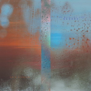 香港三级黄片电影人与狗交配
